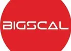 Bigscal The Ultimate Software Development Company