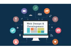 Looking for Professional Website Design & Development Services?