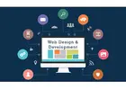 Looking for Professional Website Design & Development Services?