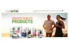 Gain Financial Freedom