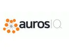 Auros Knowledge Systems