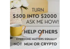Effortless Earnings: Let Your Money Work for You