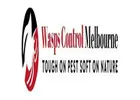 Wasps nest removal Melbourne