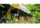 Organic Restaurant Near Me Minneapolis