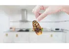 Manage Cockroach Problems at Home with TechSquadTeam