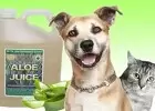 Promote Dog Health With Aloe Vera