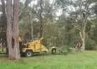 Soft Landscaping Lakemba