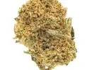 Discover a Variety of Cann*abis Strains at Mediseed Man