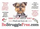 Breakthrough Network Marketing